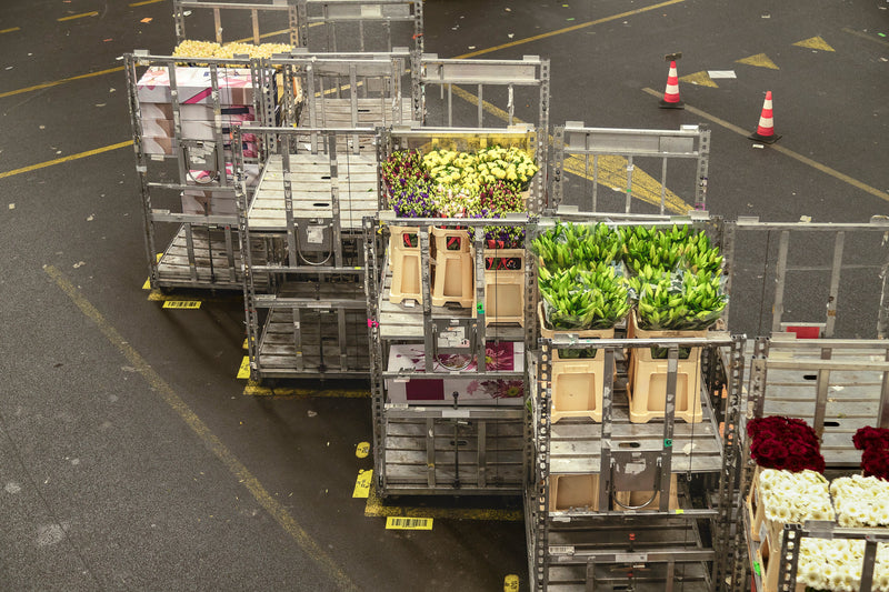 Transporte de flores refrigeradas: consejos para el sector floral
