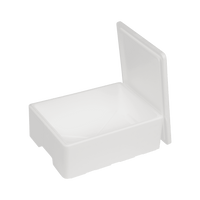 EPS doos 7 L, 400 x 300 x 110 mm